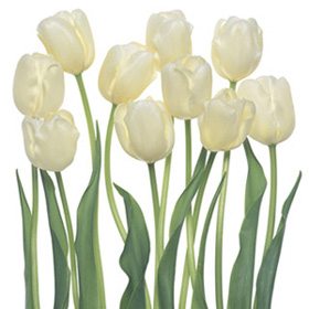 White Flower 02