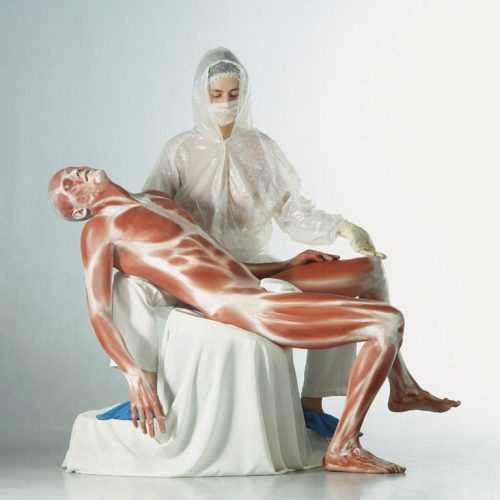 Pietà 293